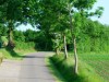 strasse