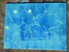 dscn7874-001
