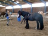 sam_0761-001