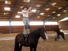sam_0765-001