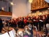 047-elch-heikendorf-mit-adventsstern