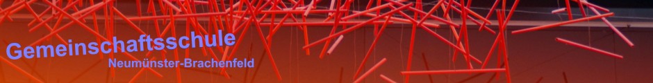 Gemeinschaftsschule Neumünster-Brachenfeld - Homepage der GemS Neumünster-Brachenfeld (IGS Neumünster)