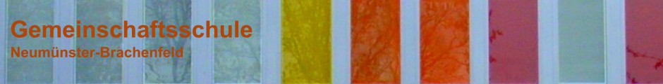 Gemeinschaftsschule Neumünster-Brachenfeld - Homepage der GemS Neumünster-Brachenfeld (IGS Neumünster)
