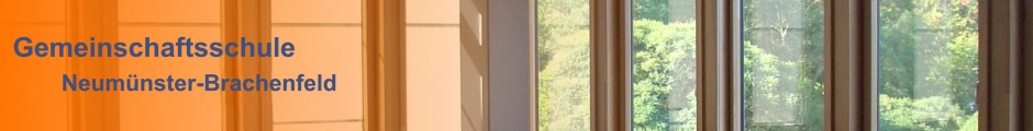 Gemeinschaftsschule Neumünster-Brachenfeld - Homepage der GemS Neumünster-Brachenfeld (IGS Neumünster)