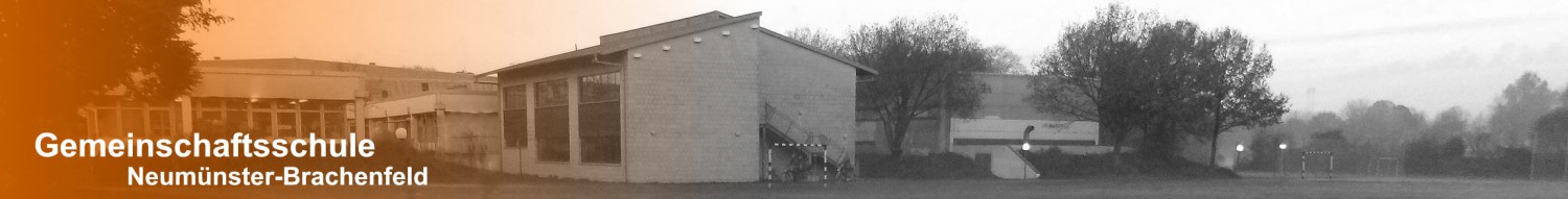 Gemeinschaftsschule Neumünster-Brachenfeld - Homepage der GemS Neumünster-Brachenfeld (IGS Neumünster)