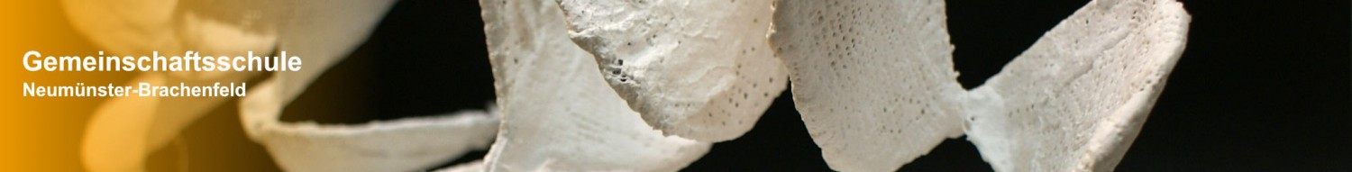 Gemeinschaftsschule NeumĂĽnster-Brachenfeld - Homepage der GemS NeumĂĽnster-Brachenfeld (IGS NeumĂĽnster) Gemeinschaftsschule NeumĂĽnster-Brachenfeld - Homepage der GemS NeumĂĽnster-Brachenfeld (IGS NeumĂĽnster)