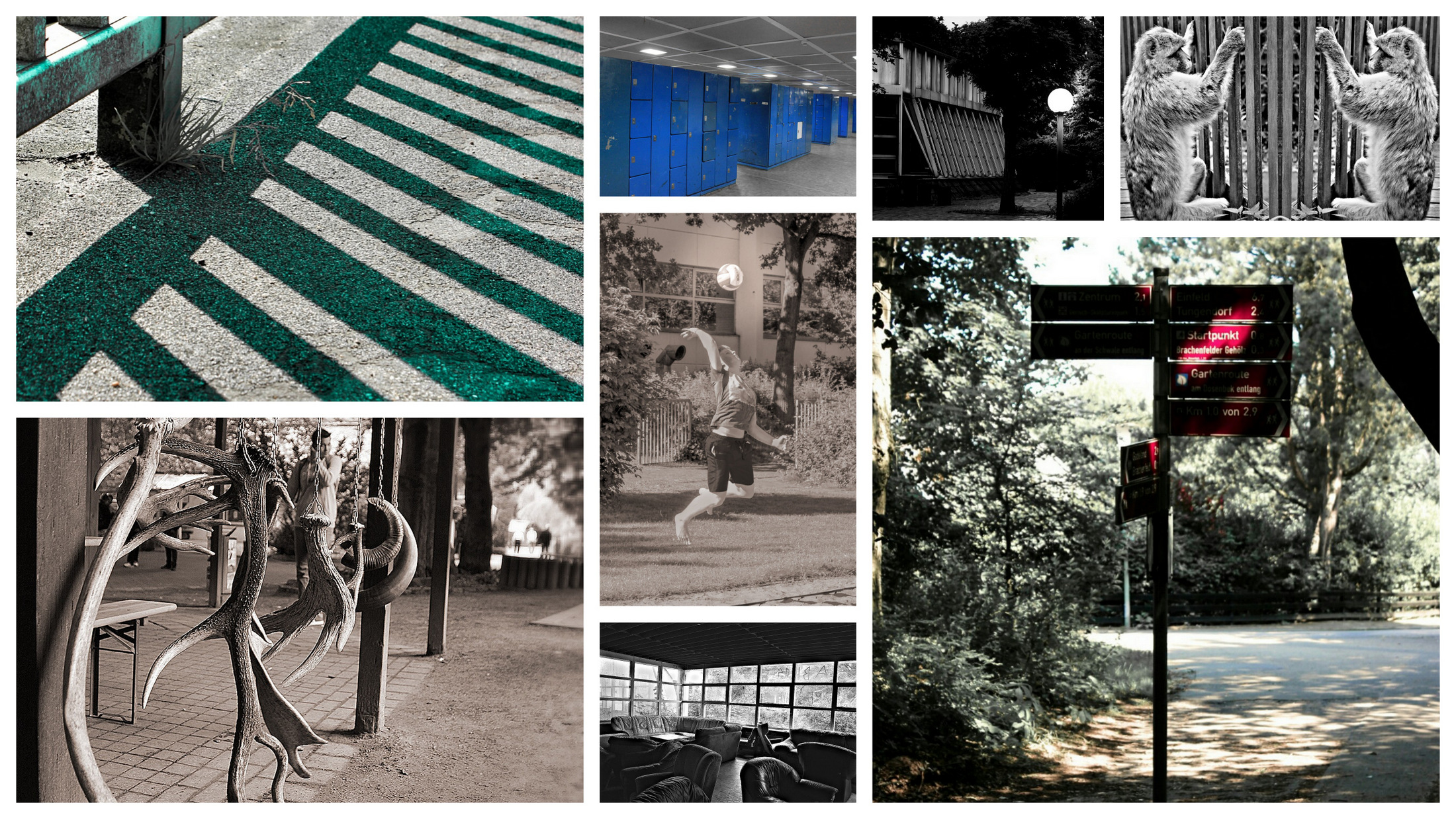 Projektwoche 2016